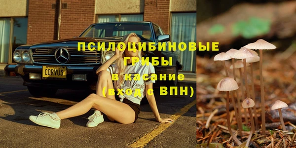 спиды Алексеевка