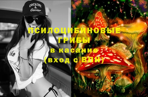 скорость Алзамай